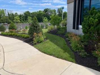 Landscaping work done in front of a commercial office.