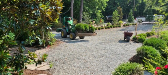 During- planting continues, General Warren, Malvern