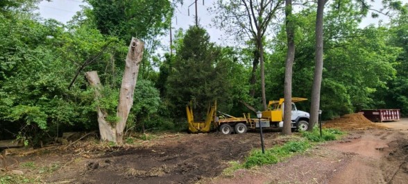 General Warren, Malvern- moved a 40’ cedar to allow for a new flagstone patio