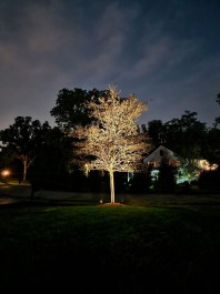 Design & Landscaping, Outdoor Lighting