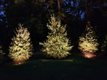 Design & Landscaping, Outdoor Lighting