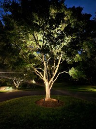 Design & Landscaping, Outdoor Lighting