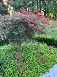 Residential Design & Landscaping