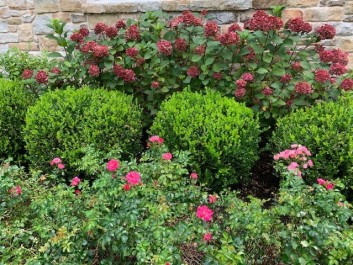 Residential Design & Landscaping