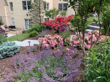 Residential Design & Landscaping