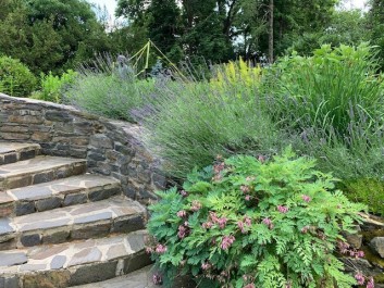 Residential Design & Landscaping, Hardscaping