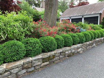 Residential Design & Landscaping, Hardscaping