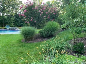 Residential Design & Landscaping, Pool Design