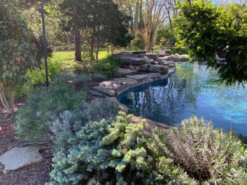 Residential Design & Landscaping, Pool Design