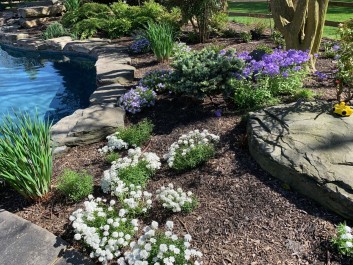 Residential Design & Landscaping, Pool Design