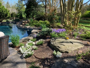 Residential Design & Landscaping, Pool Design