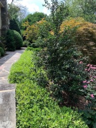 Residential Design & Landscaping