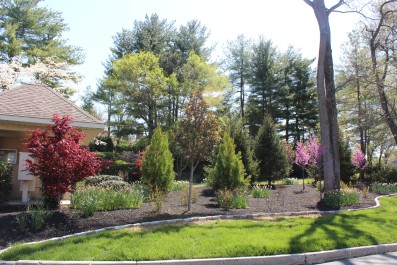 Residential Design & Landscaping