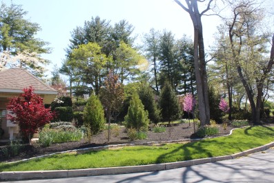 Residential Design & Landscaping