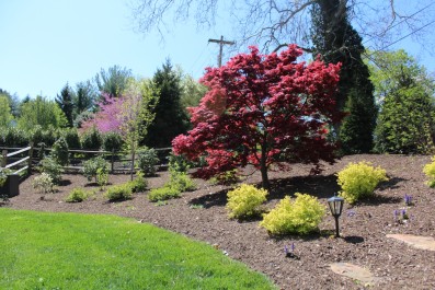 Residential Design & Landscaping