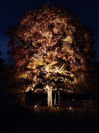 Design & Landscaping, Outdoor Lighting