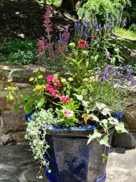 Residential Design & Landscaping