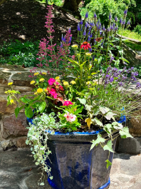 Residential Design & Landscaping