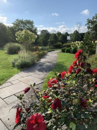 Side garden in summer bloom (Phoenixville)