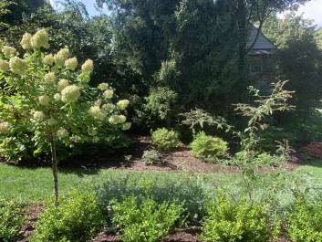 Residential Design & Landscaping