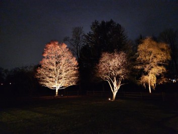 Design & Landscaping, Outdoor Lighting